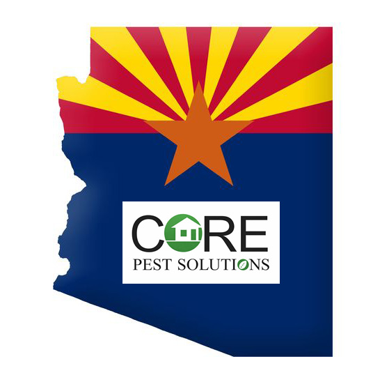 Arizona Pest Company Arizona Pest Company