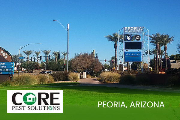 Core Pest Control for Peoria AZ