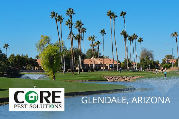 Glendale Pest Control