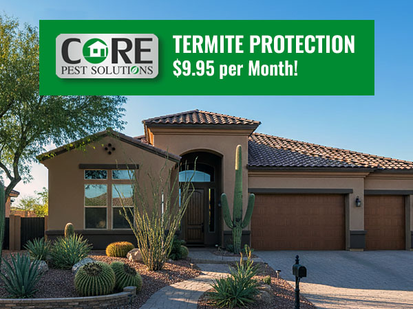 Monthly Termite Protection Plan