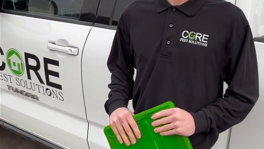 Pest Control Estimates
