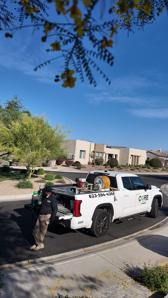 Pest Control Service Phoenix AZ
