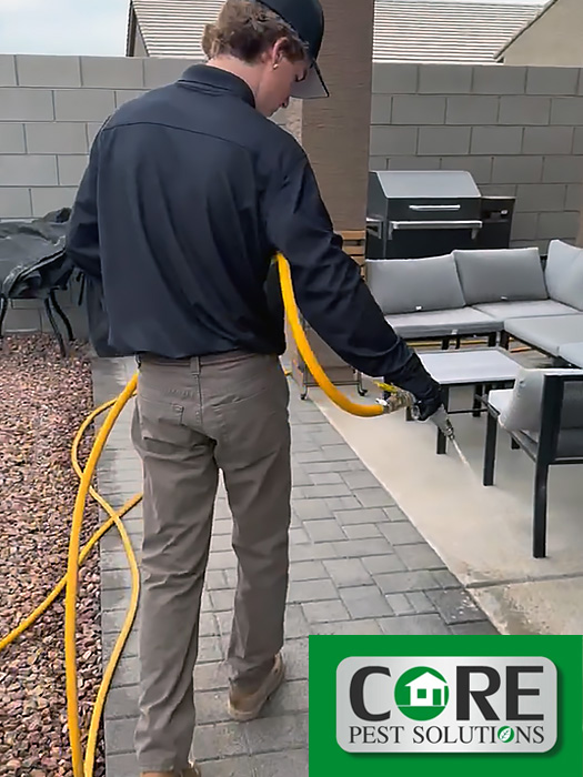 Pest Exterminator Spraying Backyard