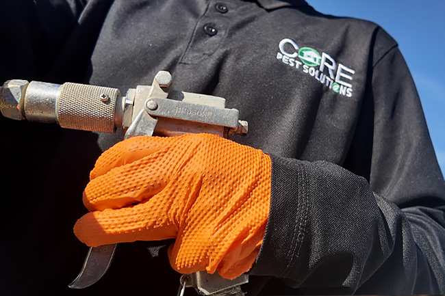 Signs of a Reputable Pest Company