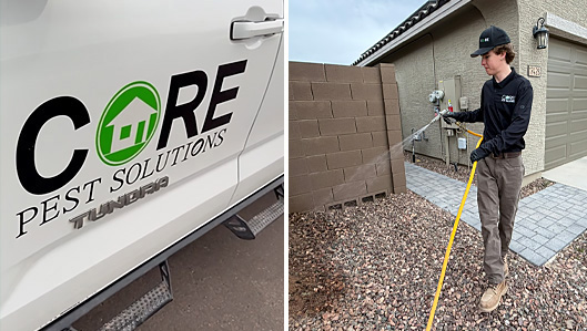 Surprise Pest Control Company