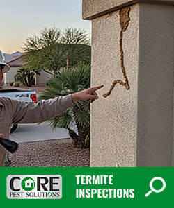 Termite Inspections by Core Pest Solutions Termite Inspections by Core Pest Solutions